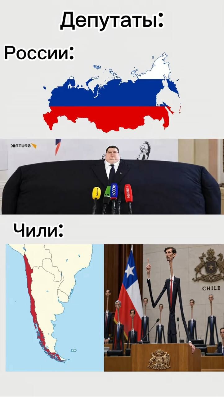 Депутаты: России: Чили: