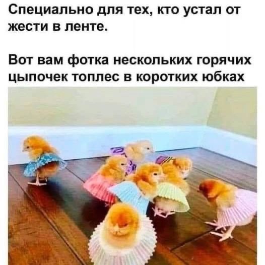 Специально для тех, кто устал от жести в ленте. Вот вам фотка нескольких горячих цыпочек топлес в коротких юбках