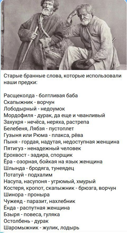 Старые бранные слова, которые использовали наши предки:
Расщеколда - болтливая баба
Скапыжник - ворчун
Лободырный - недоумок
Мордофиля - дурак, да еще и чванливый
Захухря - нечёса, неряха, растрепа
Белебеня, Лябзя - пустоплет
Гузыня или Рюма - плакса, рёва
Пыня - гордая, надутая, недоступная женщина
Пятигуз - ненадежный человек
Ерохвост - задира,