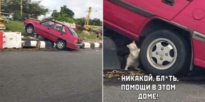 Никакой, бл*ть, помощи в этом доме!