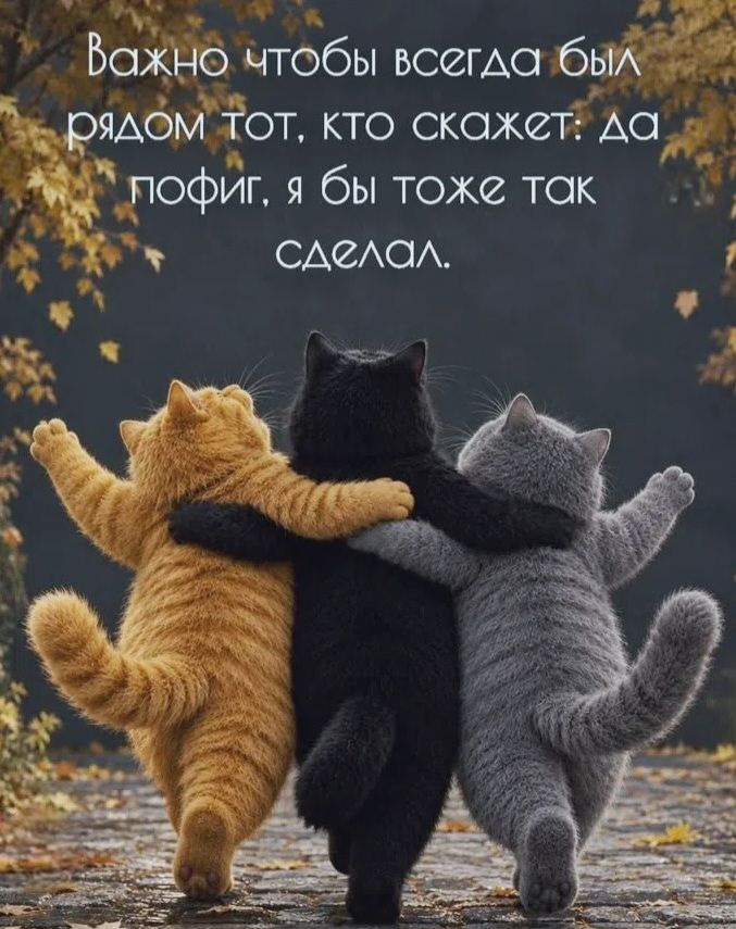 Важно чтобы всегда был рядом тот, кто скажет: да пофиг, я бы тоже так сделал.