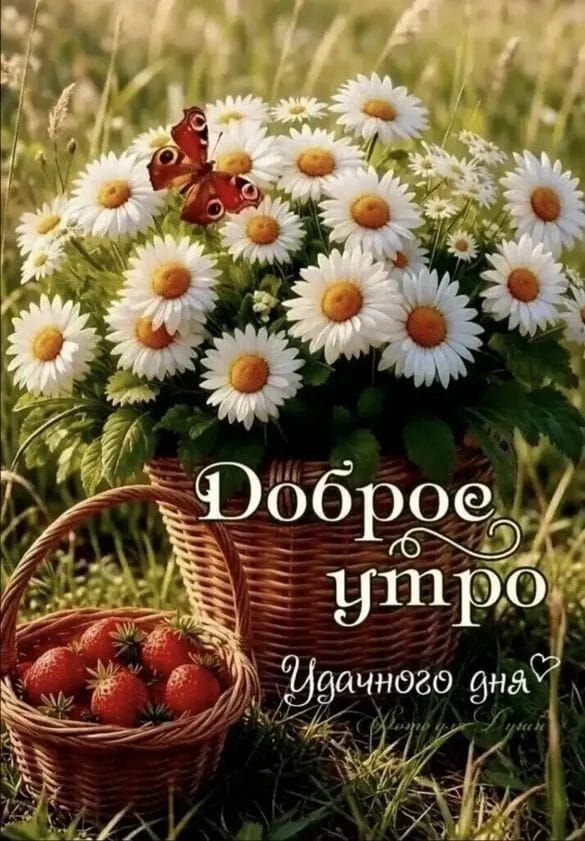 Доброе утро Удачного дня