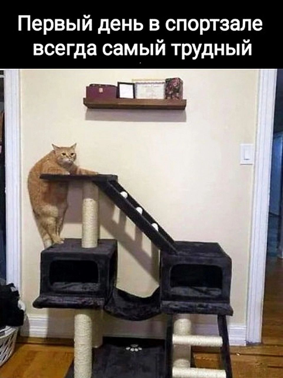 Первый день в спортзале всегда самый трудный