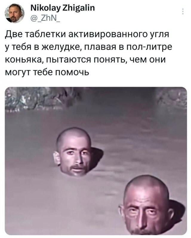 Nikolay Zhigalin @_ZhN_ Две таблетки активированного угля у тебя в желудке, плавая в пол-литре коньяка, пытаются понять, чем они могут тебе помочь
