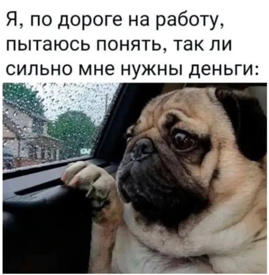 Я, по дороге на работу, пытаюсь понять, так ли сильно мне нужны деньги:
