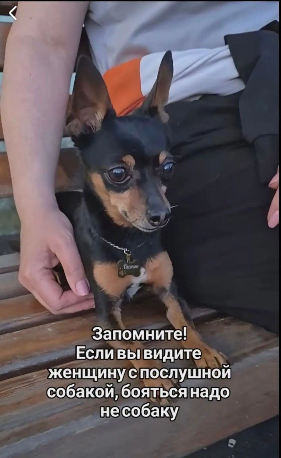 Запомните! Если вы видите женщину с послушной собакой, бояться надо не собаку