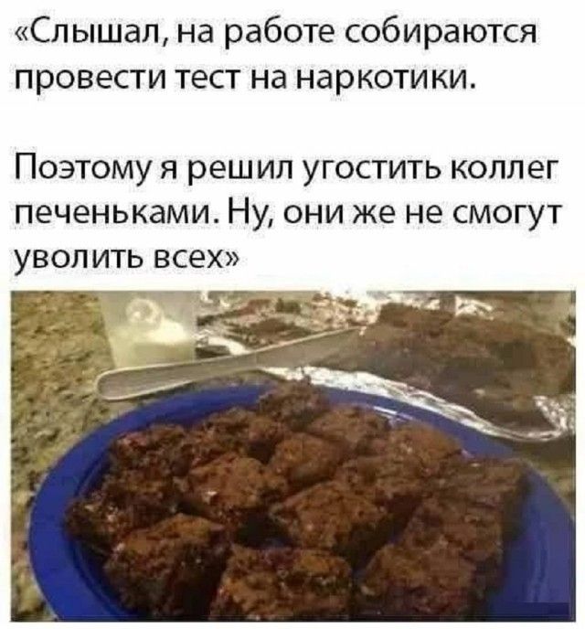 Слышал, на работе собираются провести тест на наркотики. Поэтому я решил угостить коллег печеньками. Ну, они же не смогут уволить всех.