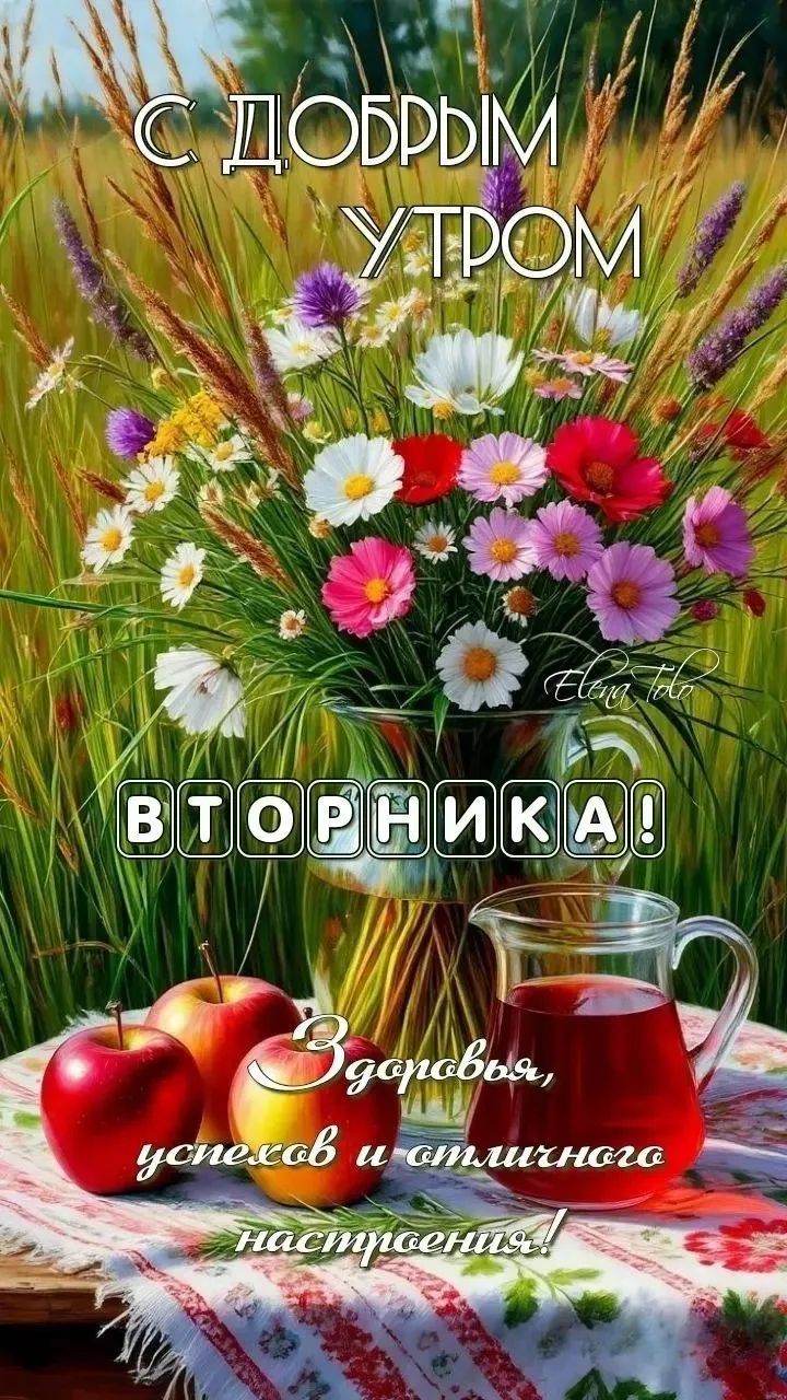 С добрым утром вторника! Здоровья, успехов и отличного настроения!