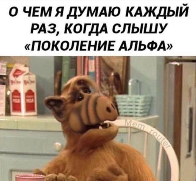 О ЧЕМ Я ДУМАЮ КАЖДЫЙ РАЗ, КОГДА СЛЫШУ «ПОКОЛЕНИЕ АЛЬФА»