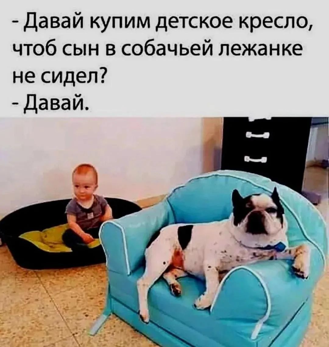 - Давай купим детское кресло, чтоб сын в собачьей лежанке не сидел? - Давай.