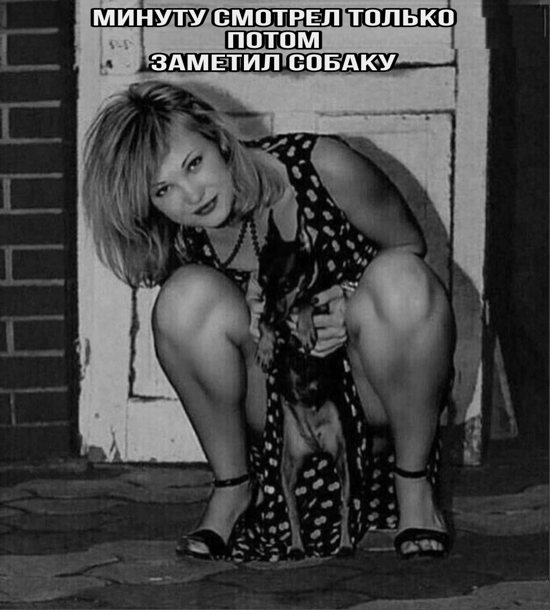 МИНУТУ СМОТРЕЛ ТОЛЬКО ПОТОМ ЗАМЕТИЛ СОБАКУ