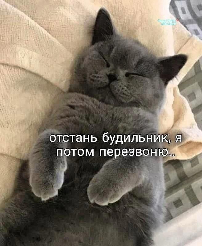 отстань будильник, я потом перезвоню..