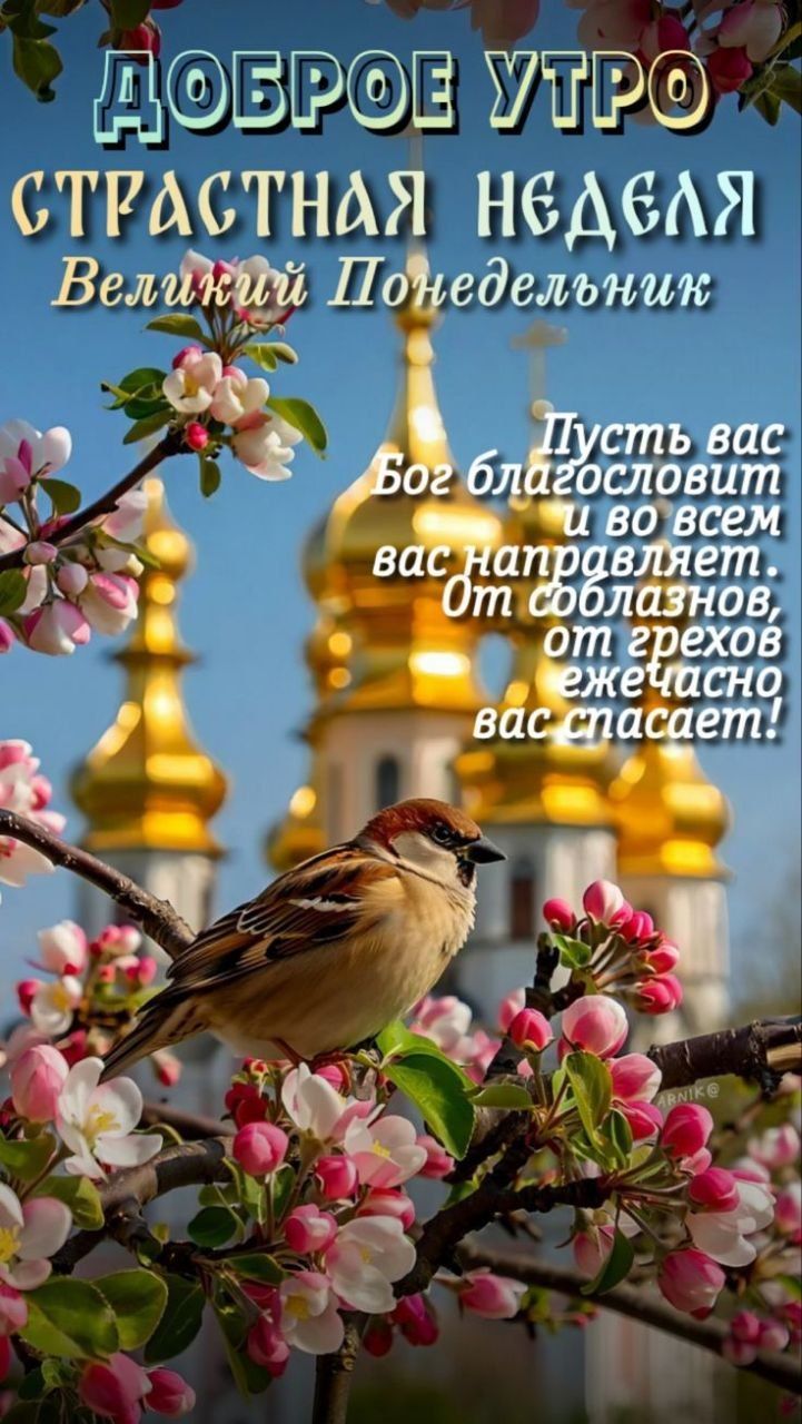 ДОБРОЕ УТРО СТРАСТНАЯ НЕДЕЛЯ Великий Понедельник Пусть вас Бог благословит и во всем вас направляет. От соблазнов, от грехов ежечасно вас спасает!
