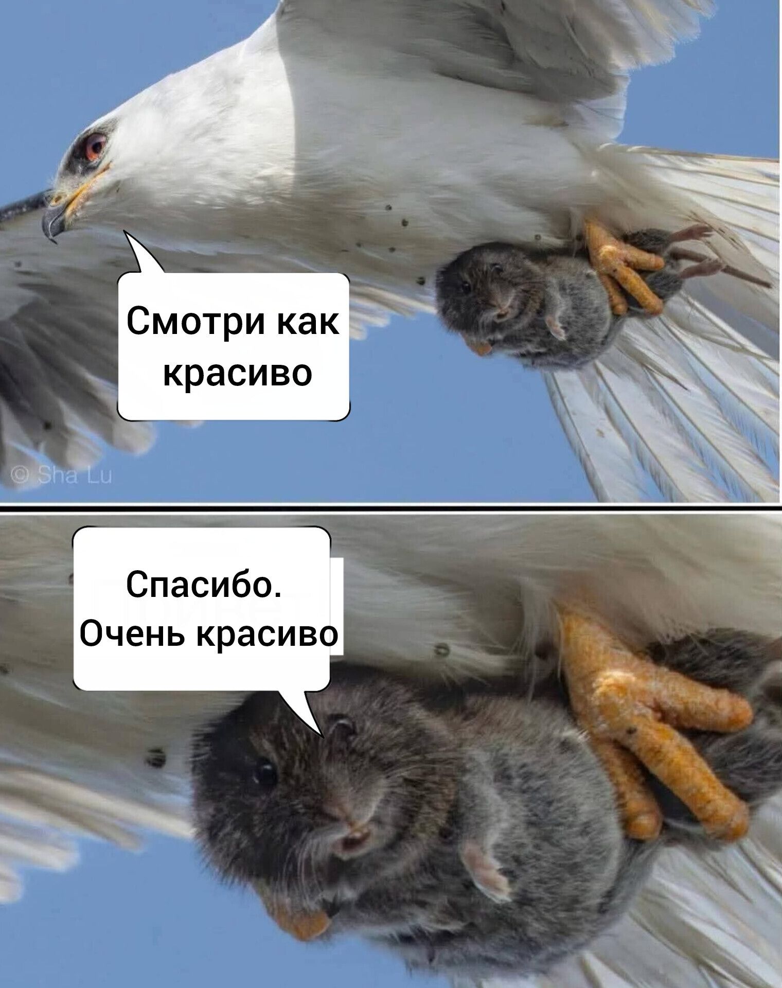 Смотри как красиво
Спасибо. Очень красиво