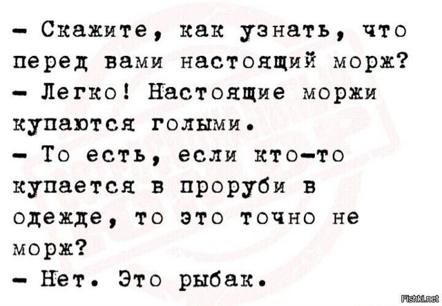 - Скажите, как узнать, что перед вами настоящий морж?
- Легко! Настоящие моржи купаются голыми.
- То есть, если кто-то купается в проруби в одежде, то это точно не морж?
- Нет. Это рыбак.