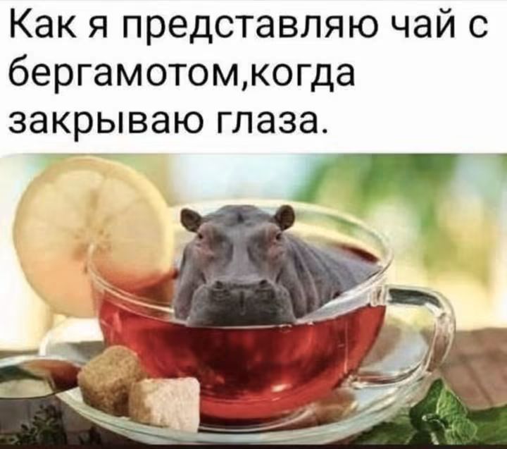 Как я представляю чай с бергамотом, когда закрываю глаза.