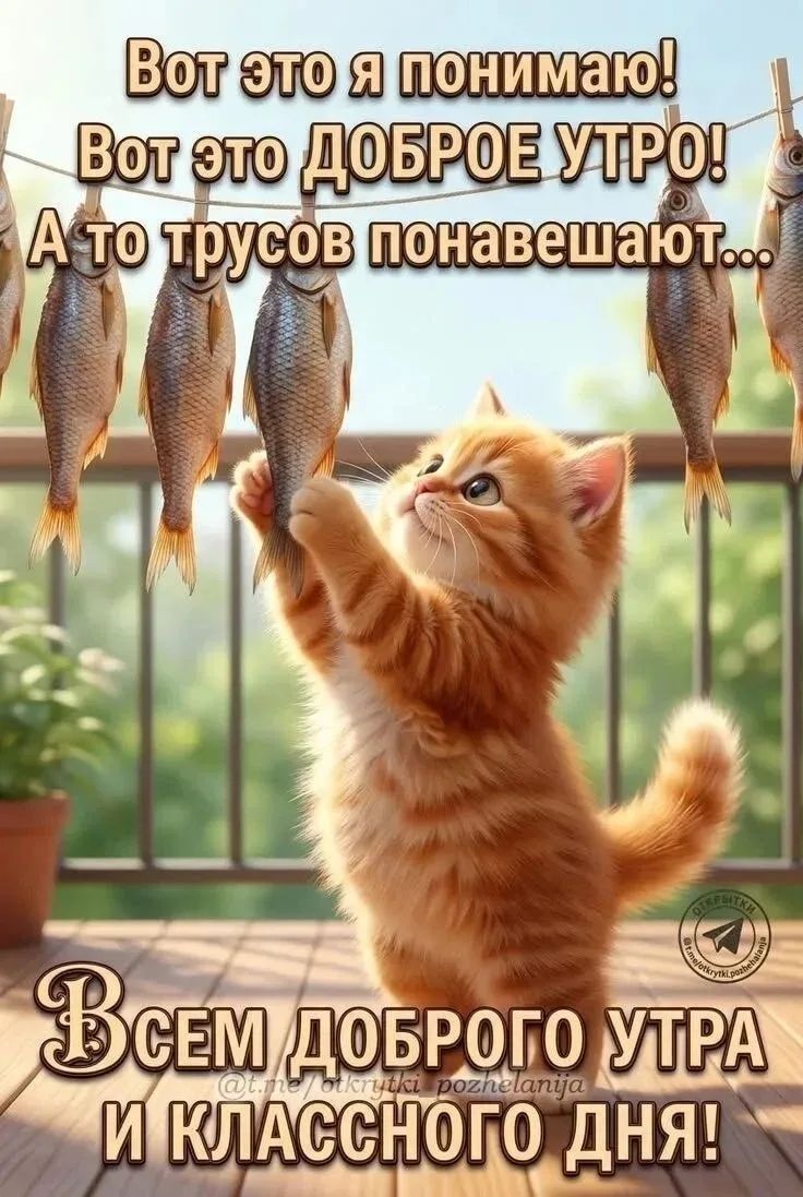 Вот это я понимаю! Вот это ДОБРОЕ УТРО! А то трусов понавешают... Всем доброго утра и классного дня!
