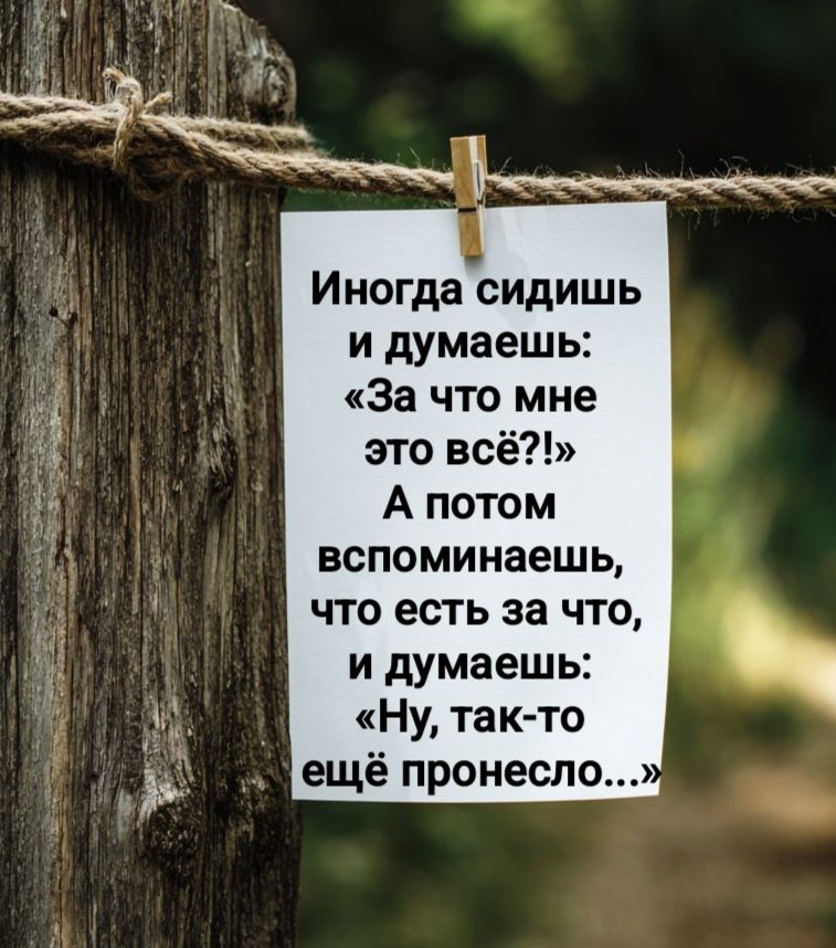 Иногда сидишь и думаешь: «За что мне это всё?!» А потом вспоминаешь, что есть за что, и думаешь: «Ну, так-то ещё пронесло...»