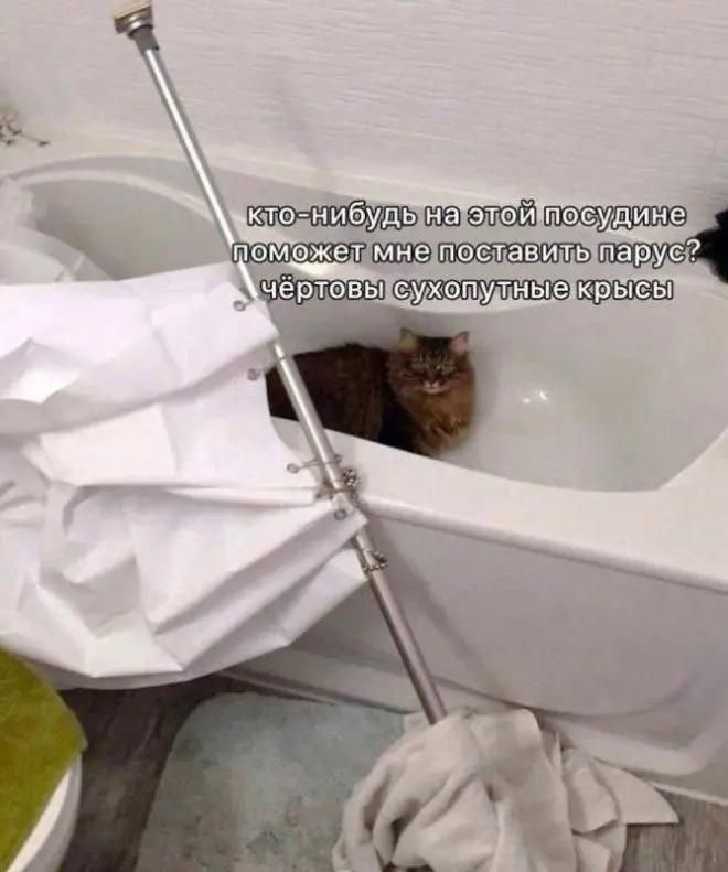 кто-нибудь на этой посудине поможет мне поставить парус? чёртовы сухопутные крысы