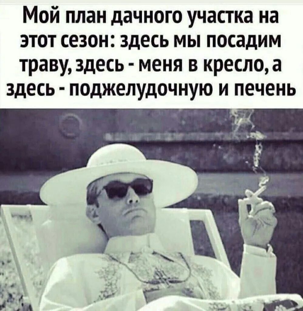 Мой план дачного участка на этот сезон: здесь мы посадим траву, здесь - меня в кресло, а здесь - поджелудочную и печень