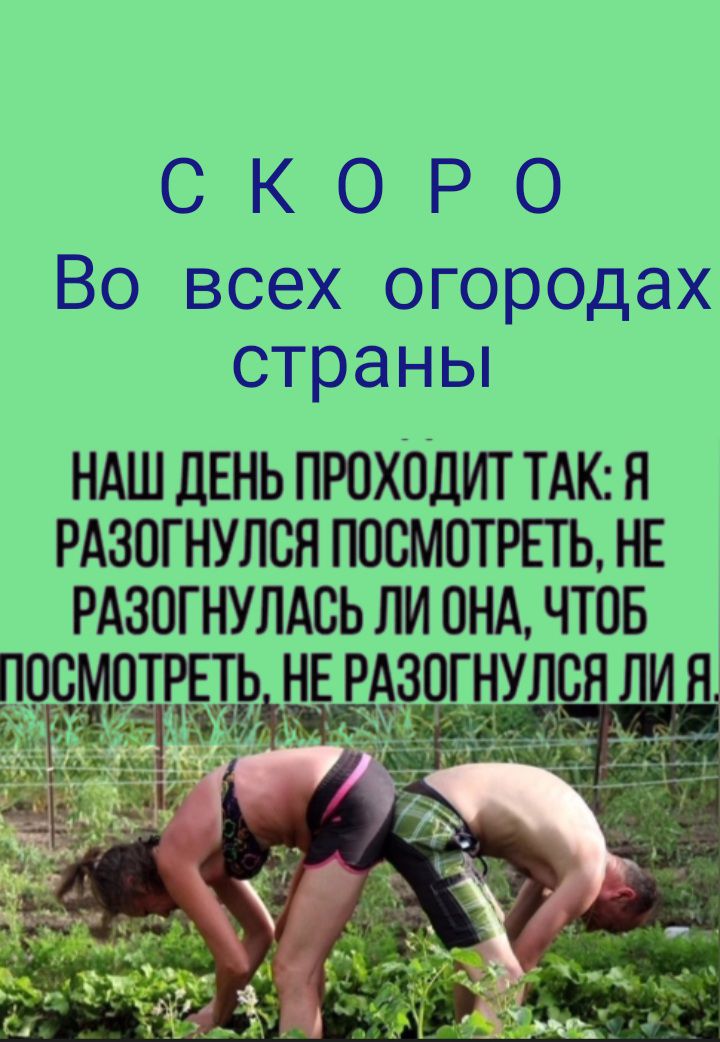 СКОРО Во всех огородах страны НАШ ДЕНЬ ПРОХОДИТ ТАК: Я РАЗОГНУЛСЯ ПОСМОТРЕТЬ, НЕ РАЗОГНУЛАСЬ ЛИ ОНА, ЧТОБ ПОСМОТРЕТЬ, НЕ РАЗОГНУЛСЯ ЛИ Я.