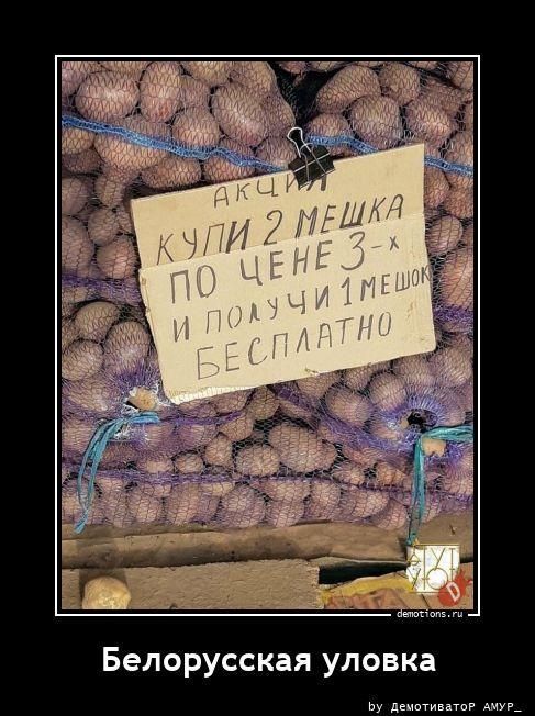 АКЦИЯ КУПИ 2 МЕШКА ПО ЦЕНЕ 3-х И ПОЛУЧИ 1 МЕШОК БЕСПЛАТНО Белорусская уловка by Демотиватор АМУР_ demotions.ru