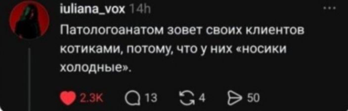 iuliana_vox 14h Патологоанатом зовет своих клиентов котиками, потому что у них «носики холодные». 2.3K 13 4 50