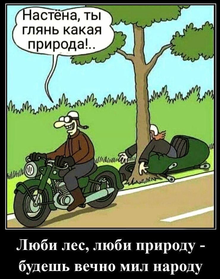 Настёна, ты глянь какая природа!.. Люби лес, люби природу - будешь вечно мил народу