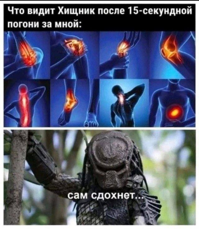 Что видит Хищник после 15-секундной погони за мной: сам сдохнет...