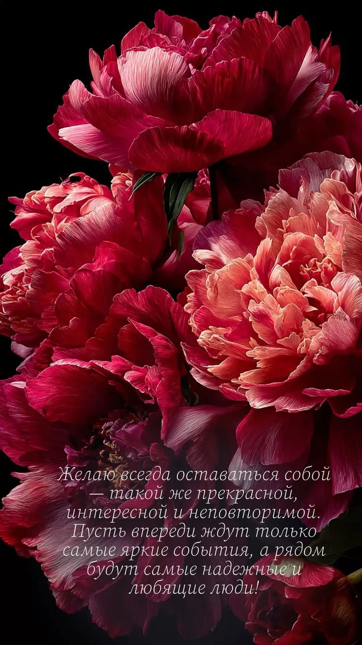Желаю всегда оставаться собой — такой же прекрасной, интересной и неповторимой. Пусть впереди ждут только самые яркие события, а рядом будут самые надежные и любящие люди!