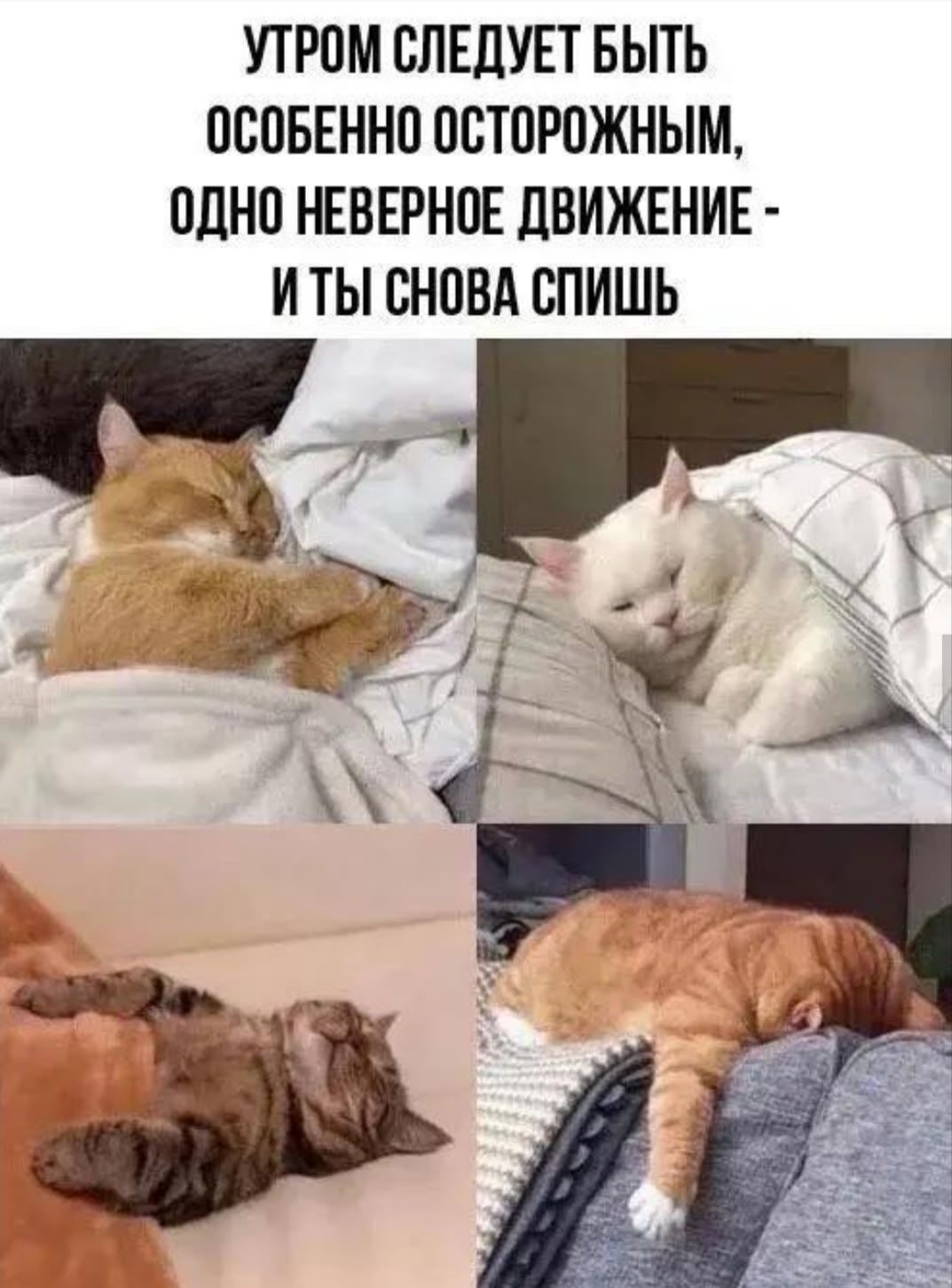 УТРОМ СЛЕДУЕТ БЫТЬ ОСОБЕННО ОСТОРОЖНЫМ, ОДНО НЕВЕРНОЕ ДВИЖЕНИЕ - И ТЫ СНОВА СПИШЬ