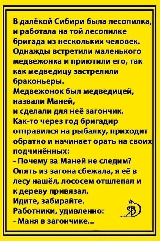 В далёкой Сибири была лесопилка, и работала на той лесопилке бригада из нескольких человек. Однажды встретили маленького медвежонка и приютили его, так как медведицу застрелили браконьеры. Медвежонок был медведицей, назвали Маней, и сделали для неё загончик. Как-то через год бригадир отправился на рыбалку, приходит обратно и начинает орать на