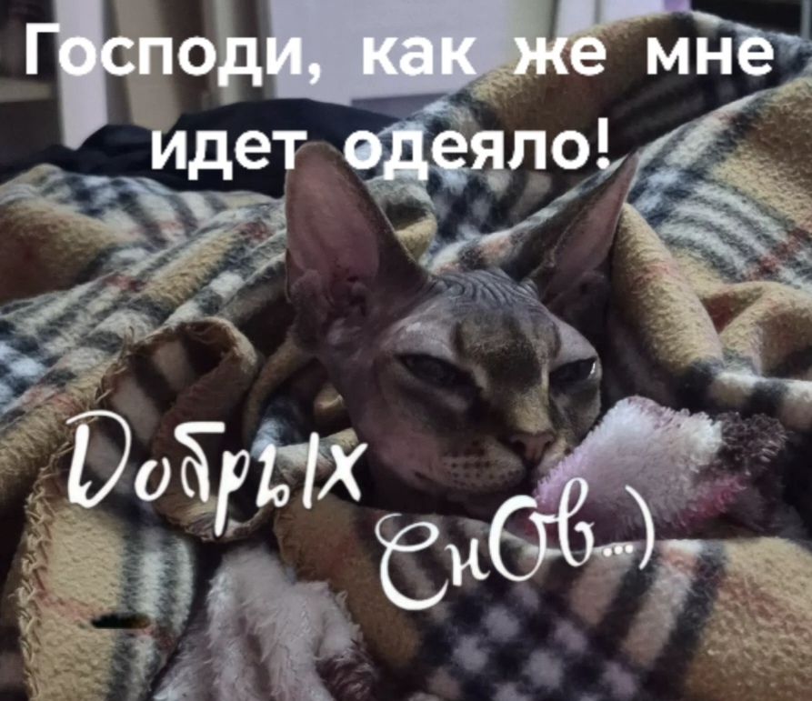 Господи, как же мне идет одеяло! Добрых снов...
