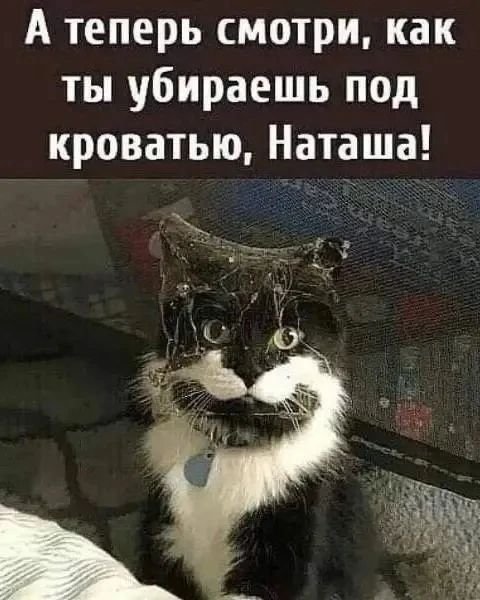 А теперь смотри, как ты убираешь под кроватью, Наташа!