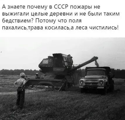 А знаете почему в СССР пожары не выжигали целые деревни и не были таким бедствием? Потому что поля пахались, трава косилась, а леса чистились!