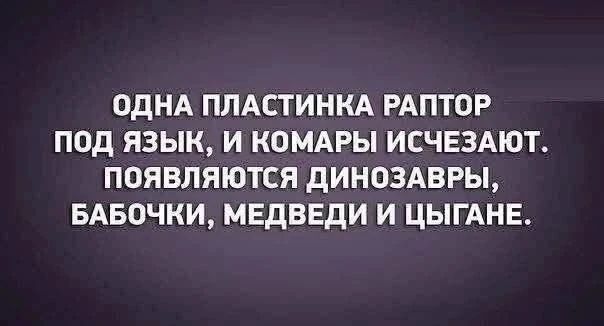 ОДНА ПЛАСТИНКА РАПТОР ПОД ЯЗЫК, И КОМАРЫ ИСЧЕЗАЮТ. ПОЯВЛЯЮТСЯ ДИНОЗАВРЫ, БАБОЧКИ, МЕДВЕДИ И ЦЫГАНЕ.