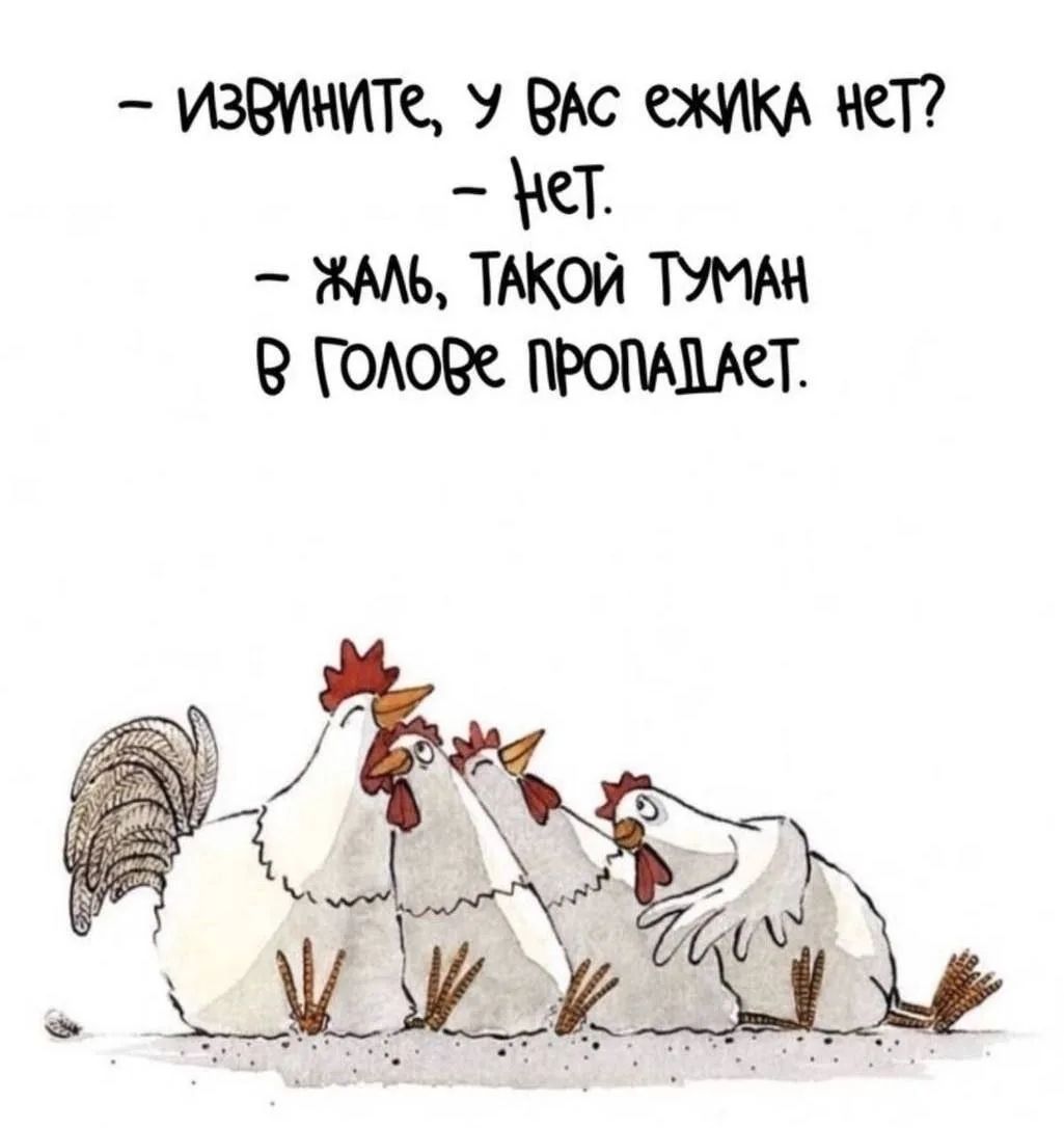 — Извините, у вас ежика нет? — Нет. — Жаль, такой туман в голове пропадает.