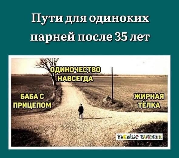 Пути для одиноких парней после 35 лет ОДИНОЧЕСТВО НАВСЕГДА БАБА С ПРИЦЕПОМ ЖИРНАЯ ТЁЛКА ВЕСЁЛЫЕ КАРТИНКИ