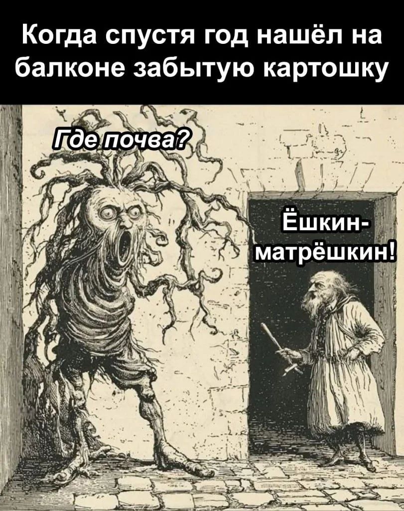 Когда спустя год нашёл на балконе забытую картошку Где почва? Ёшкин-матрёшкин!