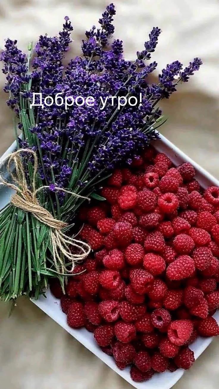 Доброе утро!