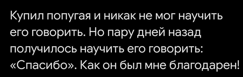 Купил попугая и никак не мог научить его говорить. Но пару дней назад получилось научить его говорить: «Спасибо». Как он был мне благодарен!