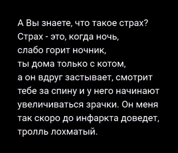 А Вы знаете, что такое страх? Страх - это, когда ночь, слабо горит ночник, ты дома только с котом, а он вдруг застывает, смотрит тебе за спину и у него начинают увеличиваться зрачки. Он меня так скоро до инфаркта доведет, тролль лохматый.