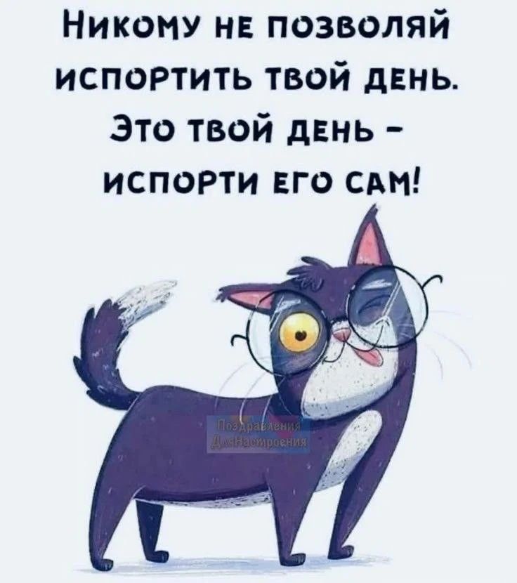 Никому не позволяй испортить твой день. Это твой день - испорти его сам!