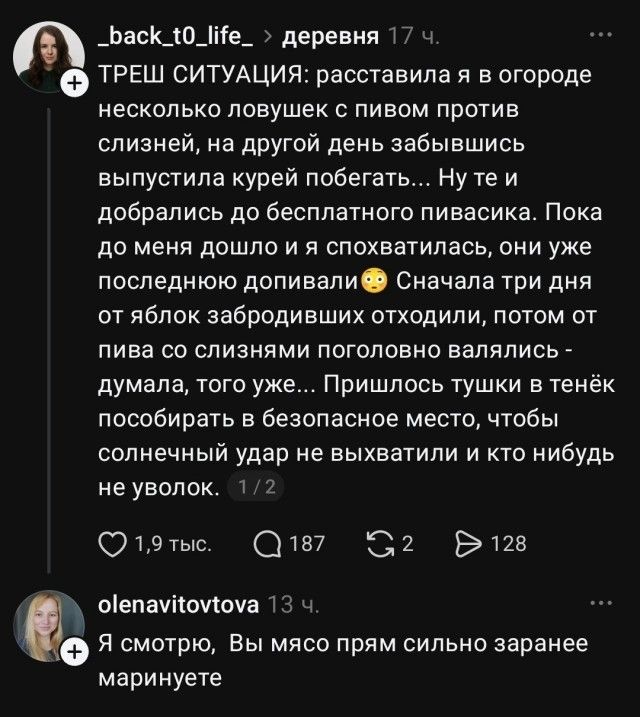 _back_t0_life_ > деревня 17 ч. ТРЕШ СИТУАЦИЯ: расставила я в огороде несколько ловушек с пивом против слизней, на другой день забывшись выпустила курей побегать... Ну те и добрались до бесплатного пивасика. Пока до меня дошло и я спохватилась, они уже последнюю допивали 🙃 Сначала три дня от яблок забродивших отходили, потом от пива со слизнями