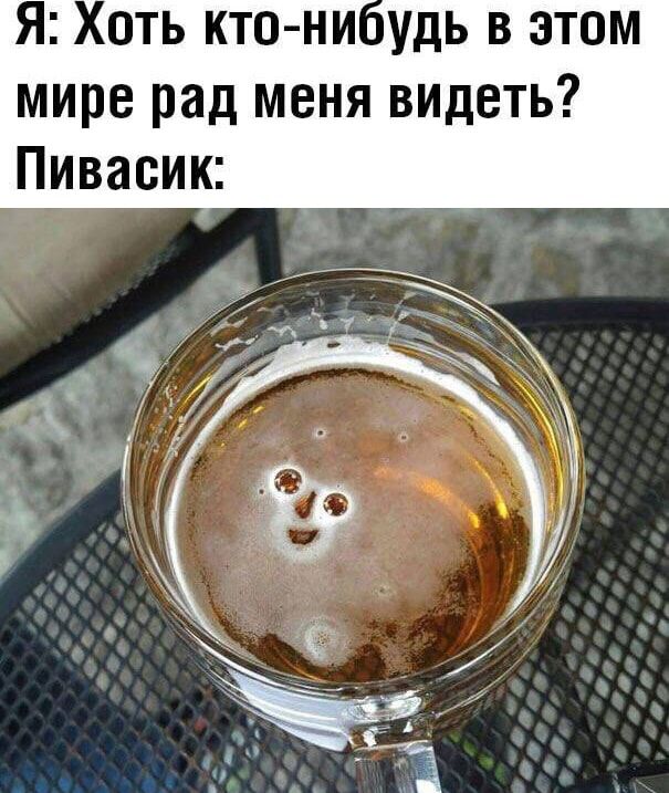 Я: Хоть кто-нибудь в этом мире рад меня видеть? Пивасик: