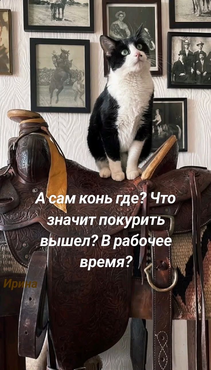 А сам конь где? Что значит покурить вышел? В рабочее время?