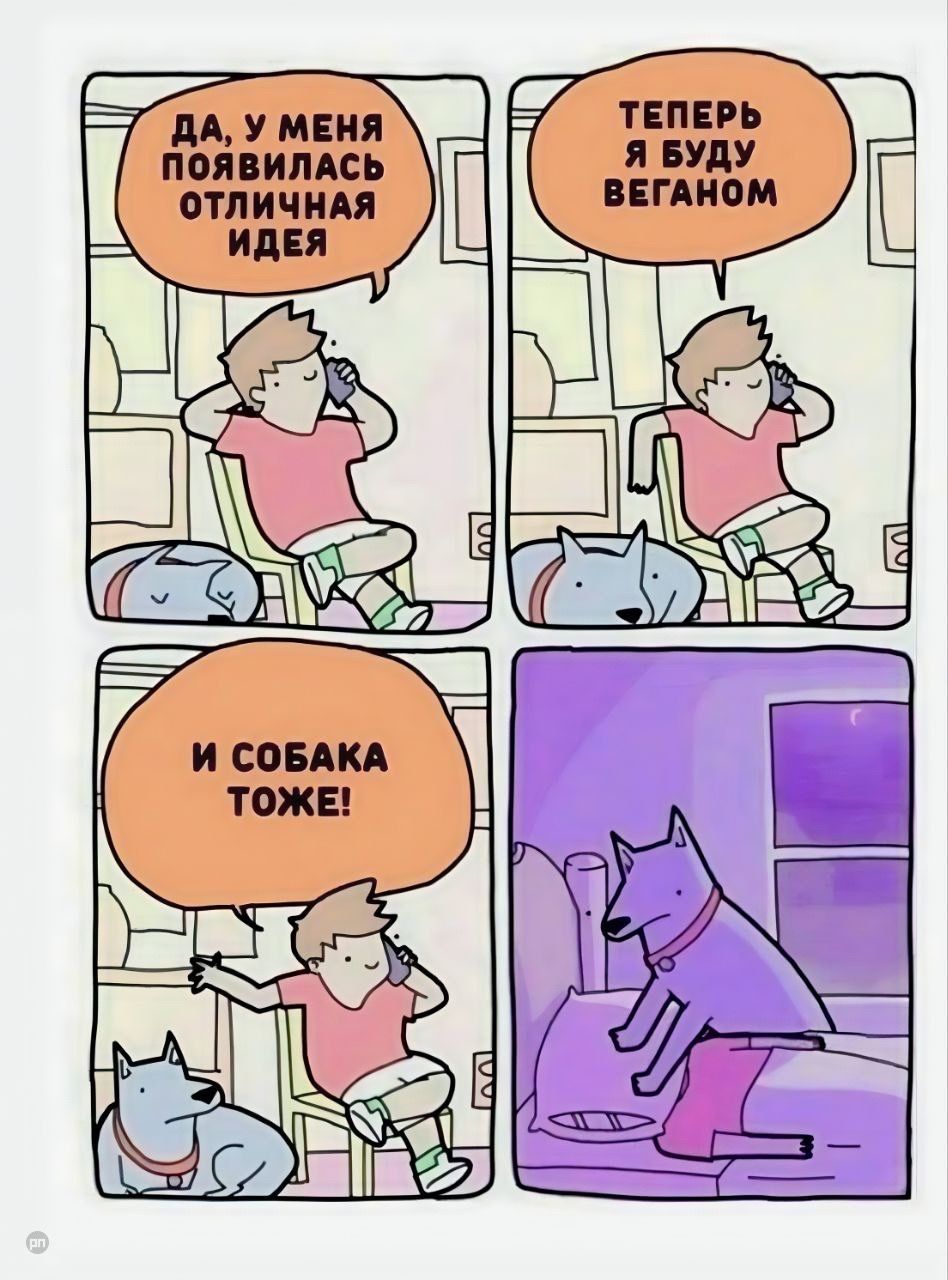 ДА, У МЕНЯ ПОЯВИЛАСЬ ОТЛИЧНАЯ ИДЕЯ ТЕПЕРЬ Я БУДУ ВЕГАНОМ И СОБАКА ТОЖЕ!
