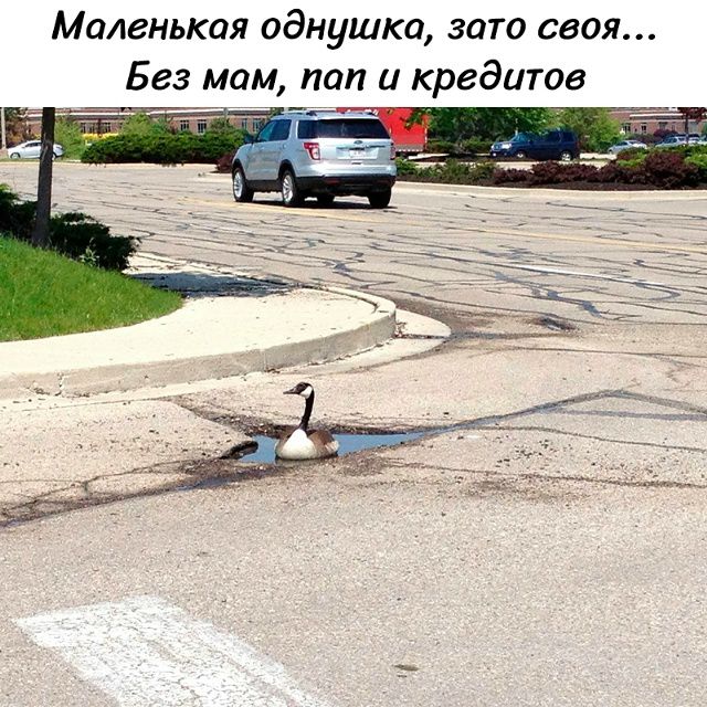 Маленькая однушка, зато своя... Без мам, пап и кредитов