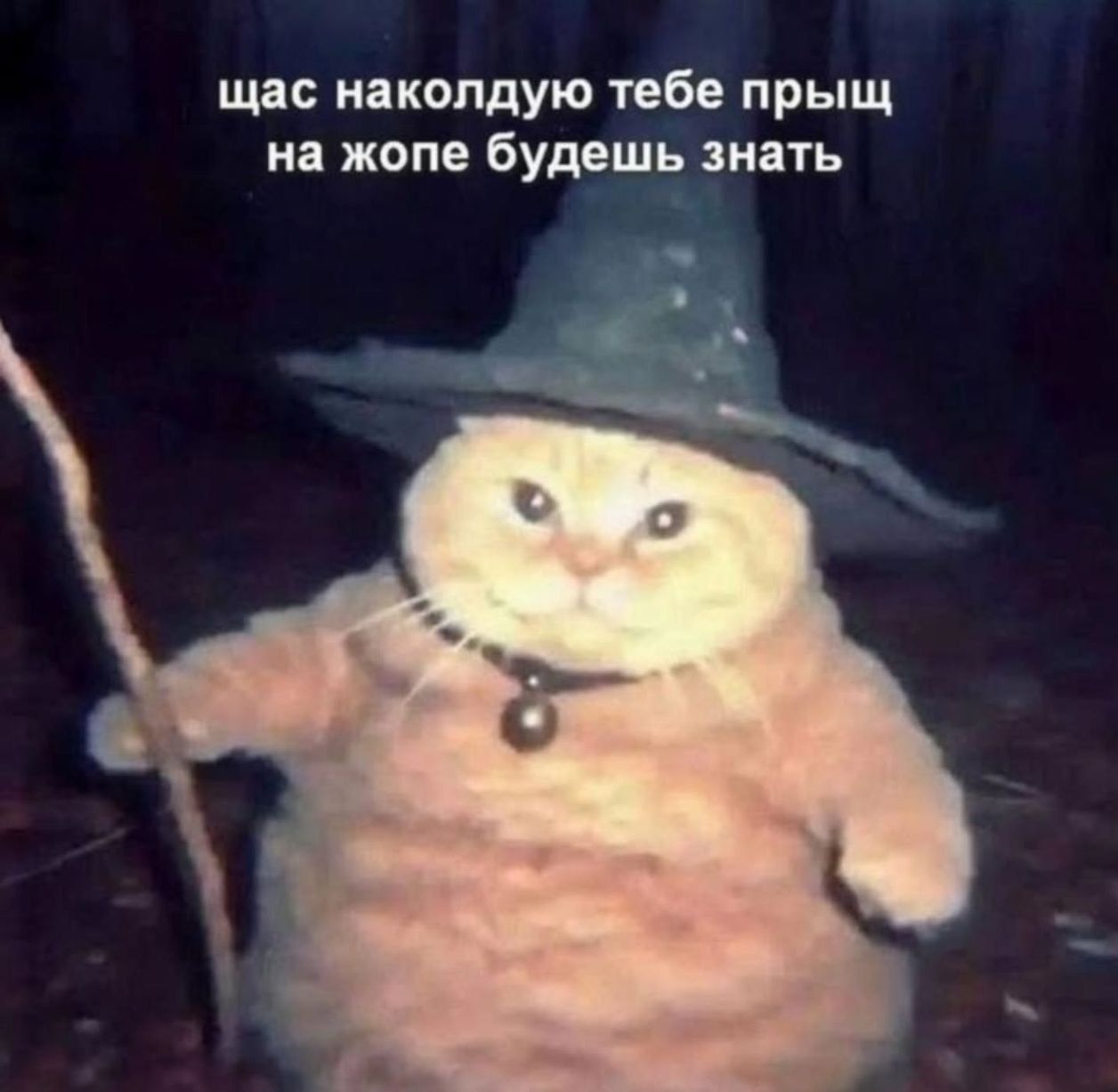 щас наколдую тебе прыщ на жопе будешь знать