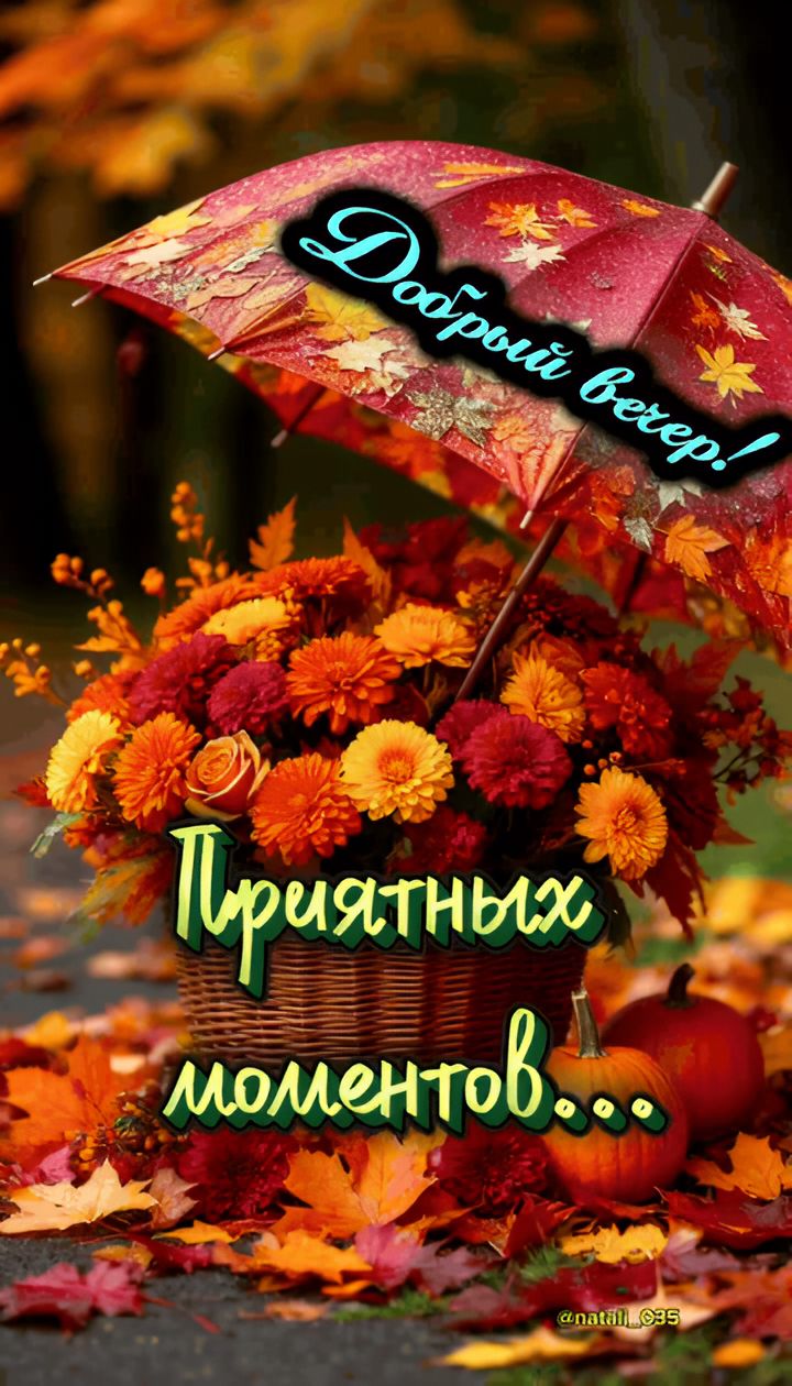 Добрый вечер! Приятных моментов...